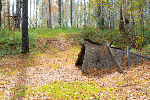 Preview: Small hut in autumn forest.