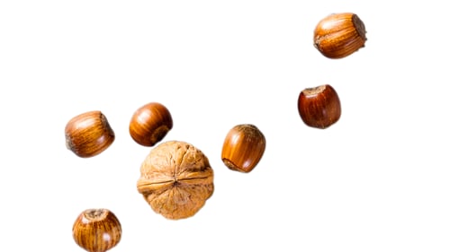 Preview: Organic Brown Hazelnuts. Delicious Healthy Nuts, Concept for Design. Autumn Harvest Snack
