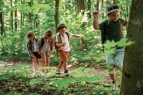 Preview: Adventure time. Kids in forest at summer daytime together