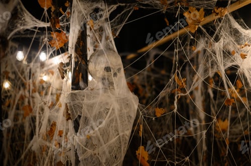 Preview: Skeleton decoration for Halloween wrapped in spider web and tissue