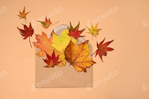 Preview: Autumnal collection of colorful leaves