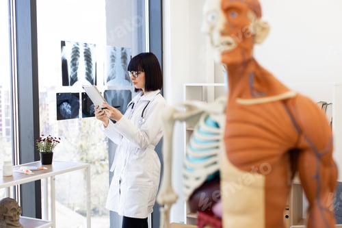 Preview: Female doctor examining X-rays and taking notes in modern medical office