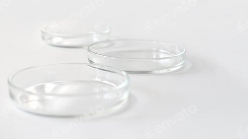 Preview: empty glass Petri dishes on a laboratory table.