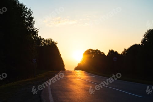 Preview: Dawn over the road passing through the morning forest