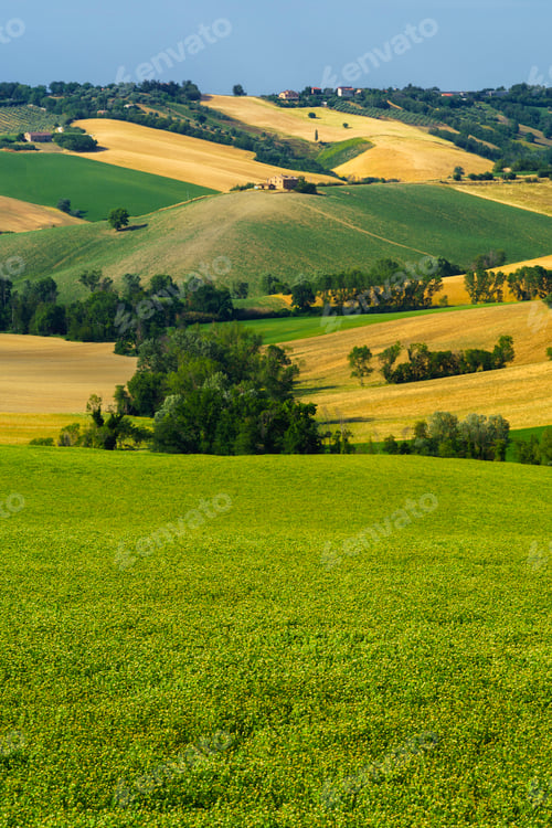 Preview: Rural landscape near Ostra Vetere and Cingoli, Marche, Italy