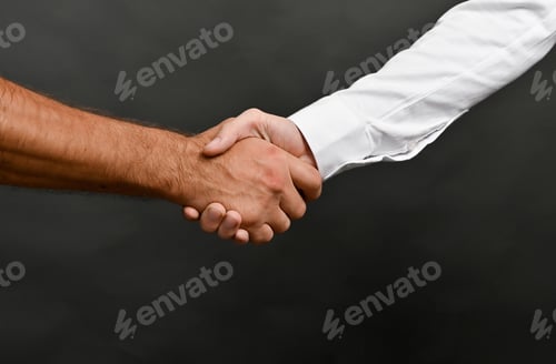 Preview: handshake of men on a gray background