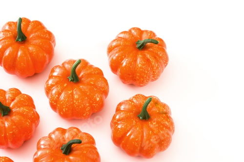 Preview: Small orange pumpkins creating festive autumnal flat lay on white background