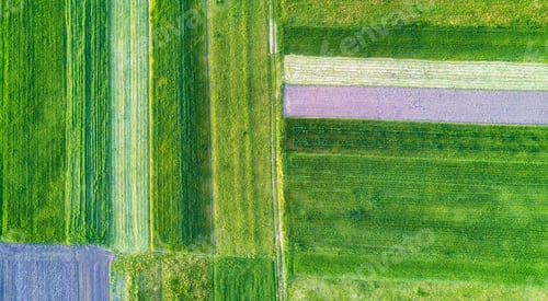 Preview: Agricultural aerial landscape.
