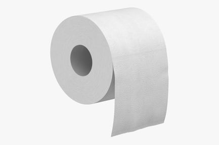 Preview: Embossed White Toilet Paper Roll