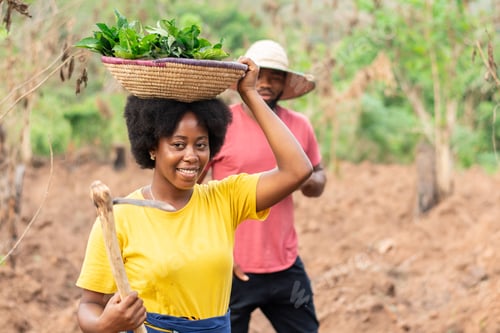 Visualização: agricultores em uma fazenda trabalhando