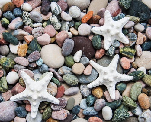 Preview: Sea pebble stones and starfish