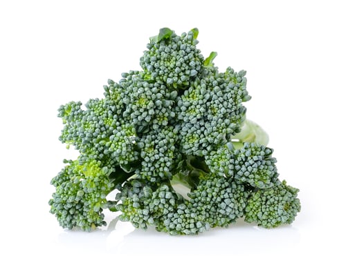Preview: Broccoli isolated on white background