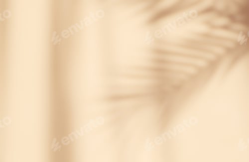 Preview: Abstract silhouette shadow background of palm leaves tree branch falling on wall.