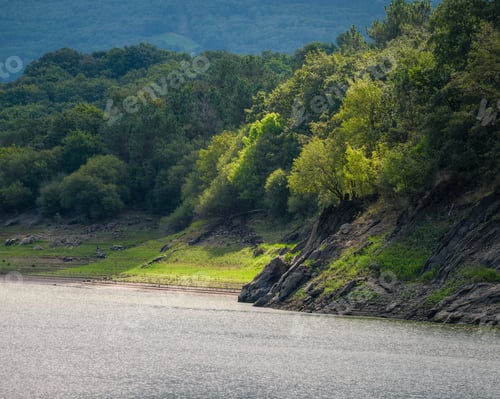 Preview: Iluminated portion of forest on the bank of a great river