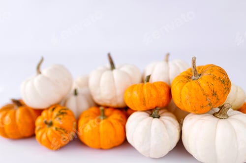 Preview: Autumn decoration on white with copy space. Fall, halloween, thanksgiving