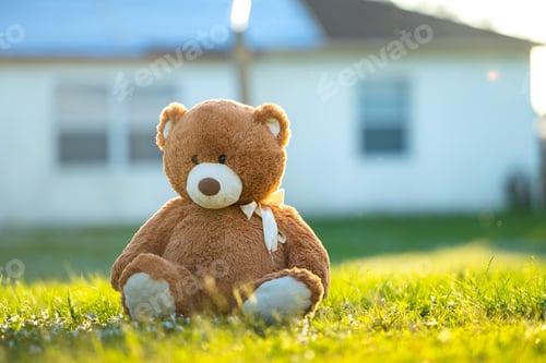 Preview: Concept of childhood. Big plush teddy bear sitting alone on green grass lawn in summer