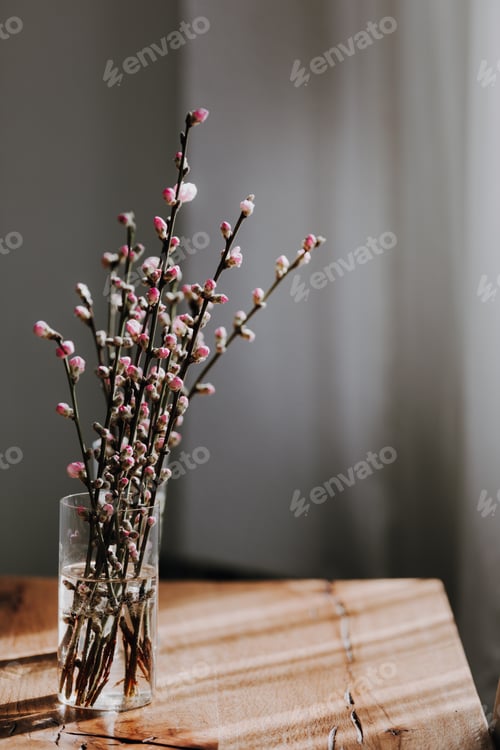 Preview: Almond Tree Blooming Twigs in a Vase on Wooden Table