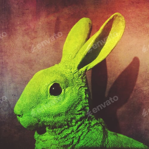 Preview: The Green rabbit !