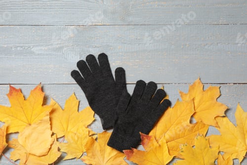 Preview: Stylish black woolen gloves and dry leaves on grey wooden table, flat lay. Space for text