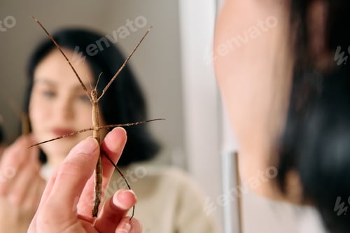 Preview: Young Woman Captured in a Beautiful Moment with Her Stick Insect (Medauroidea Extradentata)