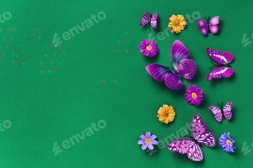 Preview: Vivid violet butterflies on green background