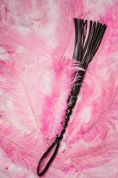 Preview: Black strict leather flogging whip on pink feathers