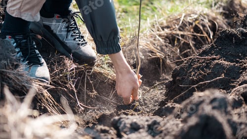 Preview: Volunteer planting trees in nature