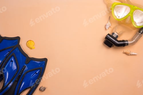 Preview: Top view of Snorkel and flipper on a color background.