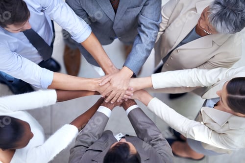 Preview: In diversity we will succeed. Shot of a group of coworkers with their hands in a huddle.
