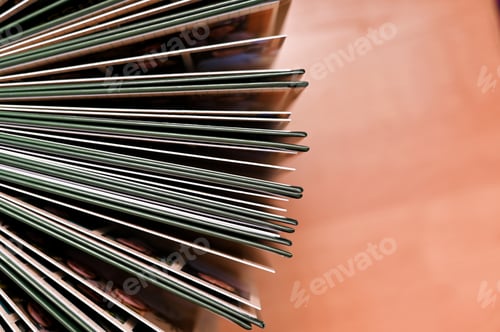 Preview: The photo albums are open.