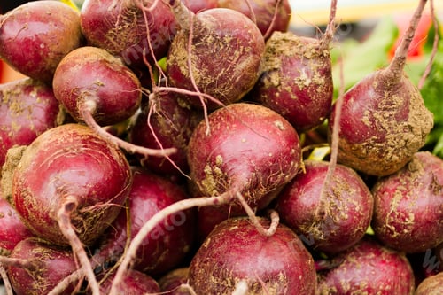 Preview: Radishes