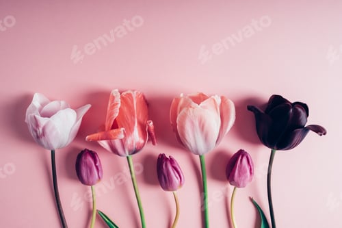 Preview: Spring flowers.