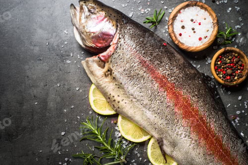 Preview: Raw salmon fish whole with ingredients for cookings on black