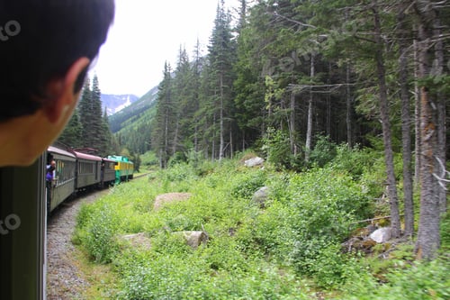 Preview: Millennial traveler enjoying a beautiful Skagway-Alaska train scenic view train ride with nature