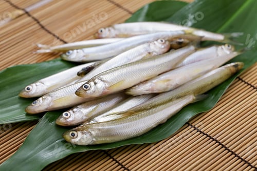 Preview: Chika, japanese surf smelt on haran leaves