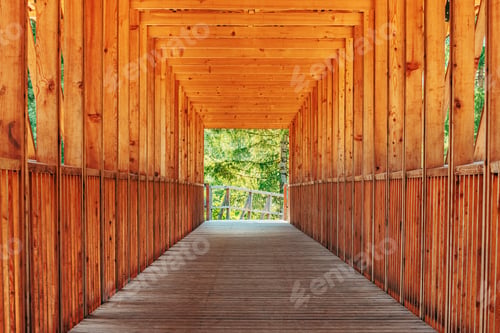 Preview: Wooden construction of timber bridge and tunnel with green wooded landscape at the exit