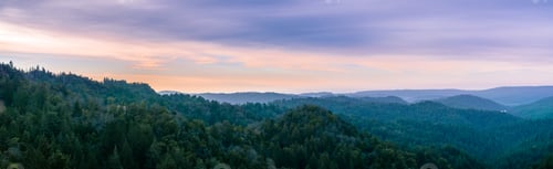 Preview: Early morning panorama in Santa Cruz mountains