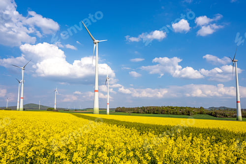 Preview: Wind turbines in a blooming rape field
