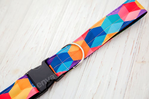 Preview: Dog Collar and Leash set. Pet Supplies and Walking Gear Collection