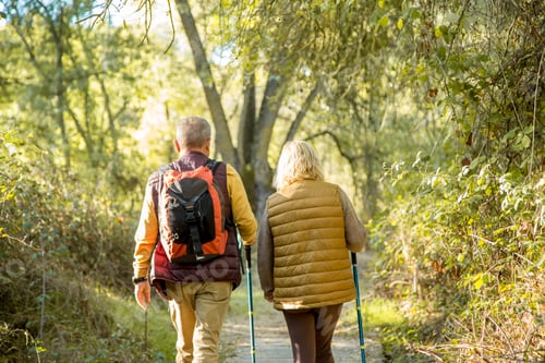 Preview: Rear view of an adult couple walking in the forest