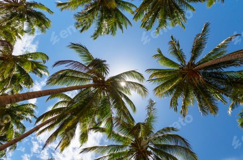 Tropical beach