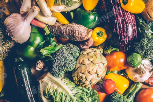 Preview: Fresh vegetables gathered in a vegetable garden.