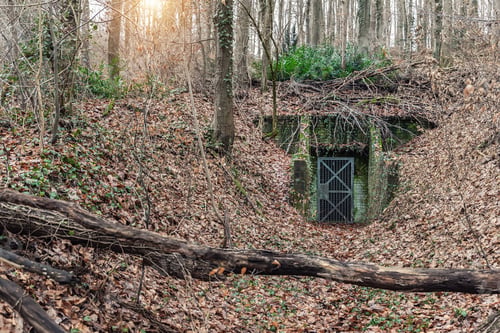 Preview: Second world war old abandoned concrete military bunker shelter hidden in forest woods fallen leaves