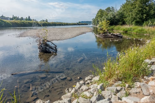 Preview: The Cedar River In Renton, Washington Flows Into Lake Washington.