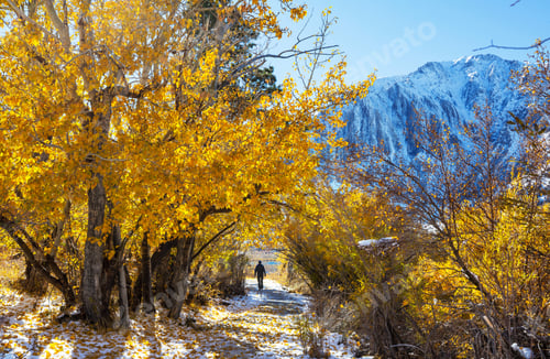 Preview: Hike in autumn season