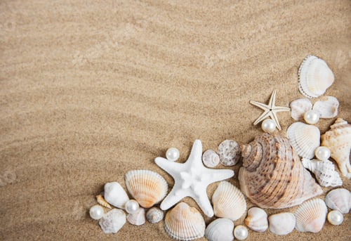 Preview: sea shells with sand