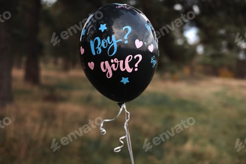 Preview: Celebration gender Party on nature. Black baloon with the inscription Boy and Girl moving in the air