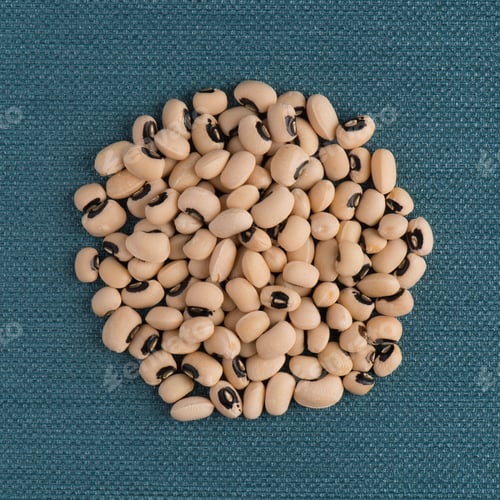 Preview: Circle of white beans
