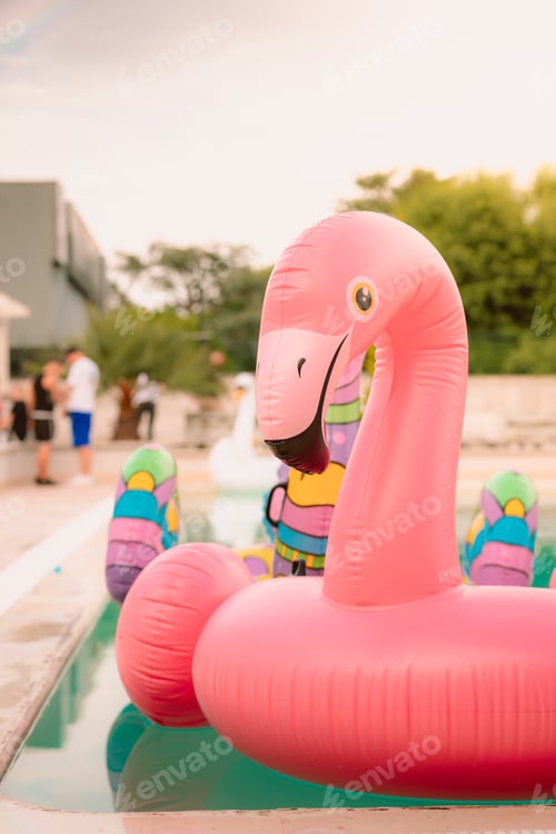 Preview: Pink flamingo float in pool at summer event
.CR2