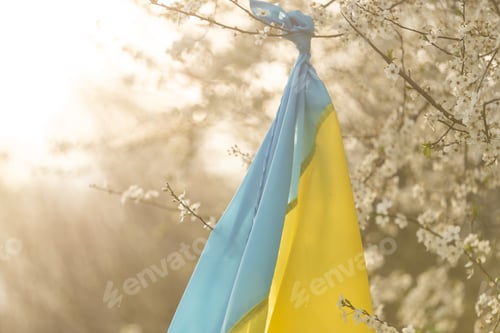 Preview: Spring flowering trees with flowers against the background of the flag of ukraine. Spring background